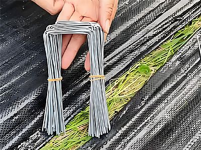 防草布專(zhuān)用U型釘